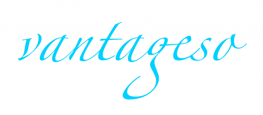 Vantageso Logo